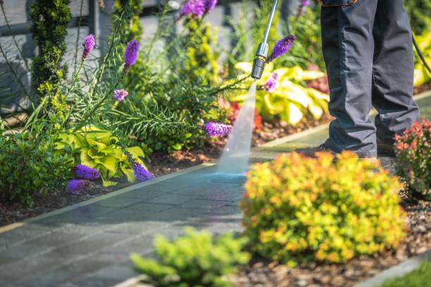 Best Parking Lot Cleaning in El Paso, IL