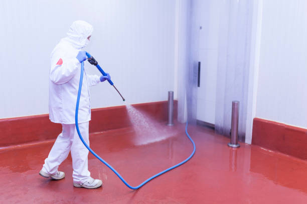 Trusted El Paso, IL Pressure Washing Services Experts