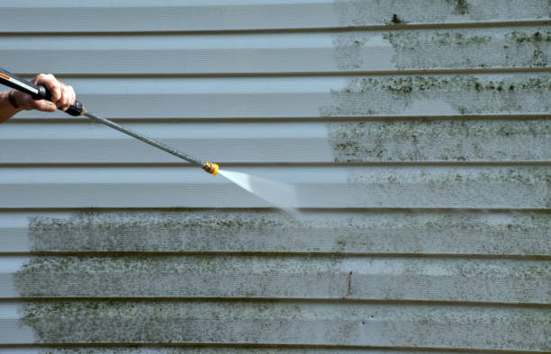  El Paso, IL Pressure Washing Pros