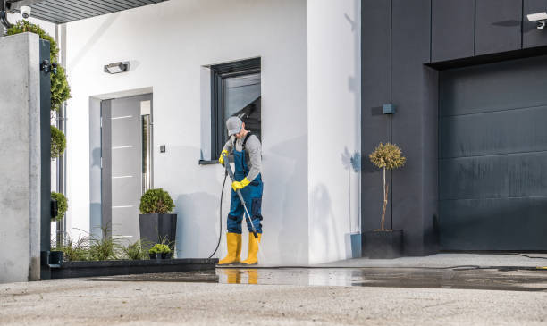 Best Soft Washing for Delicate Surfaces in El Paso, IL